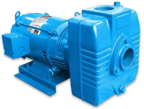 barnes centrifugal pump|barnes fountain pumps.